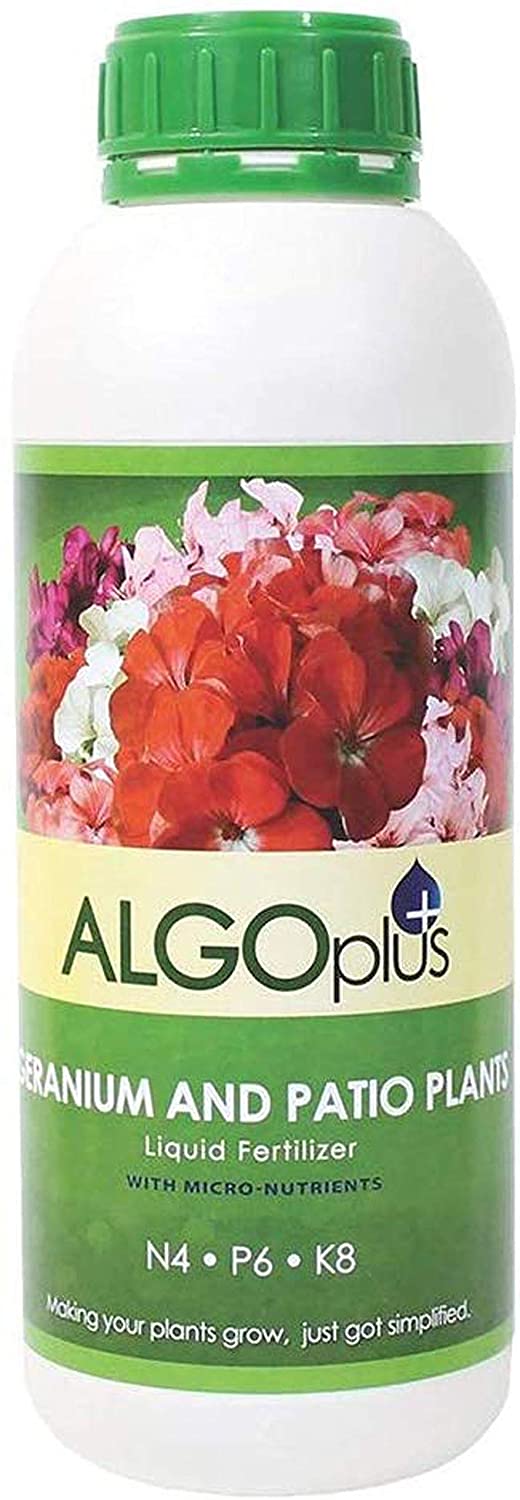 The 5 Best Fertilizers for Geranium (That WORK) — 2020
