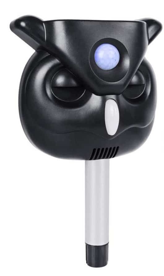 The 5 Best Ultrasonic Cat Repeller (That WORK) — 2020