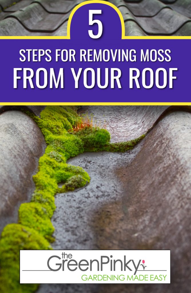 Cleaning moss from roof requires steps to follow in a particular order