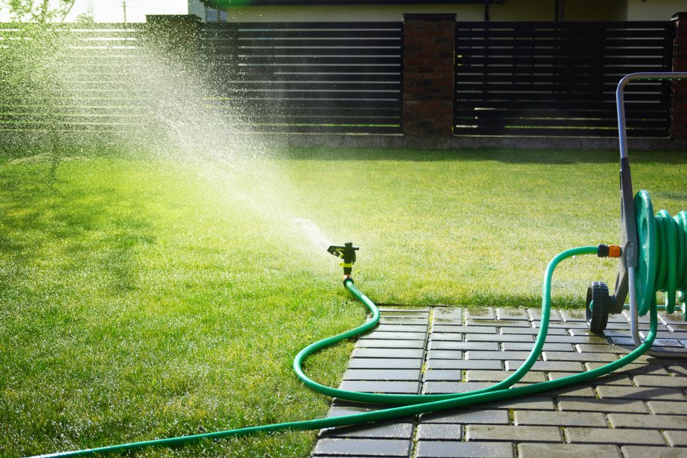 Sprinkler watering a lawn.