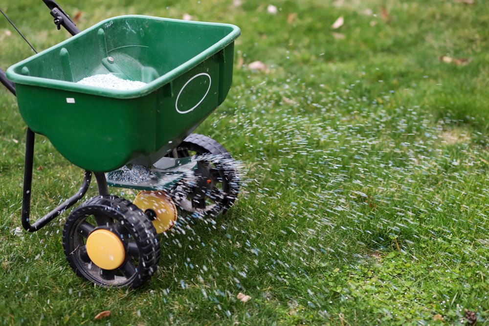 A broadcast spreader that is actively spreading granular fertilizer onto a lawn.