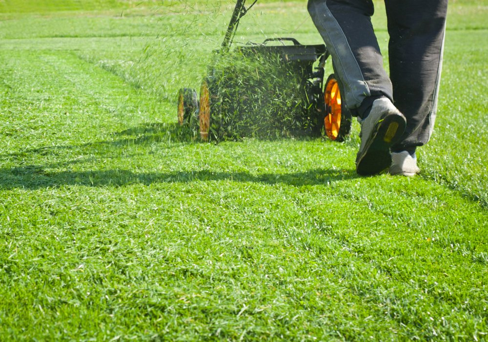 A man using a push style lawnmower to mow the lawn and leaving the clippings on the ground.