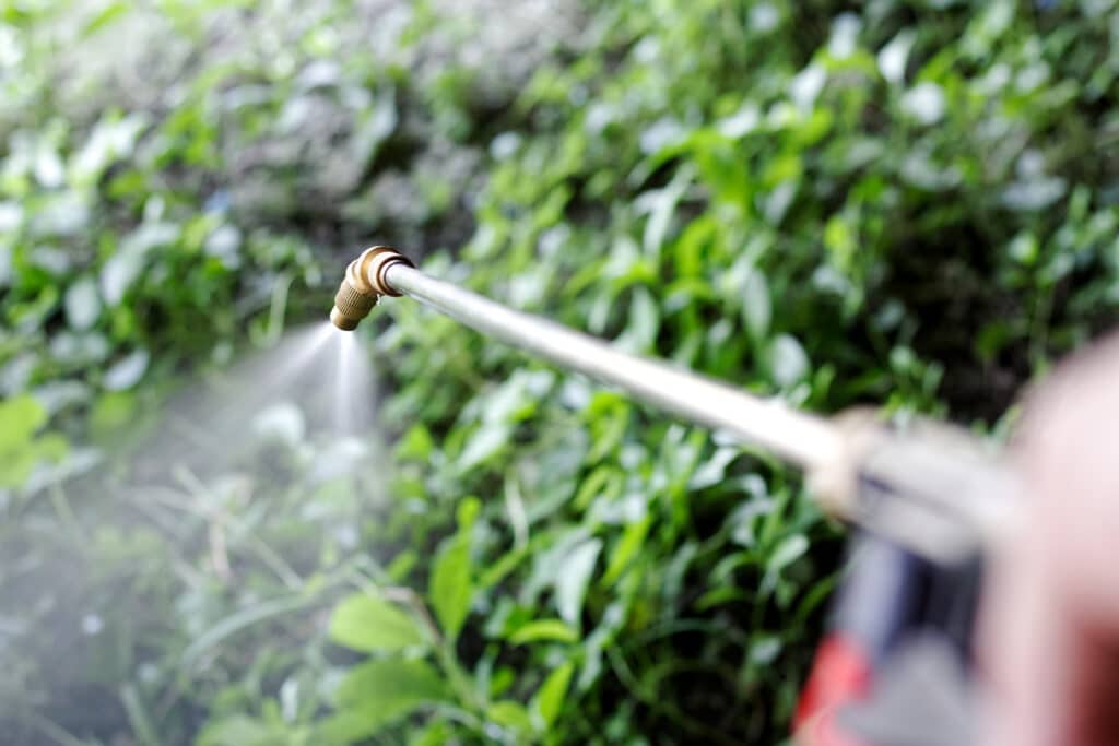 Someone spraying preventative, pre-emergent herbicide to prevent weeds