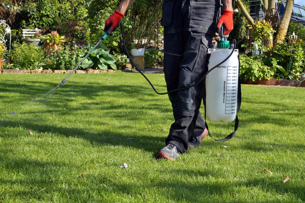 A man spraying a lawn with weed killers